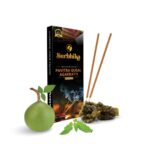Pavitra Gugal Premium Incense Stick
